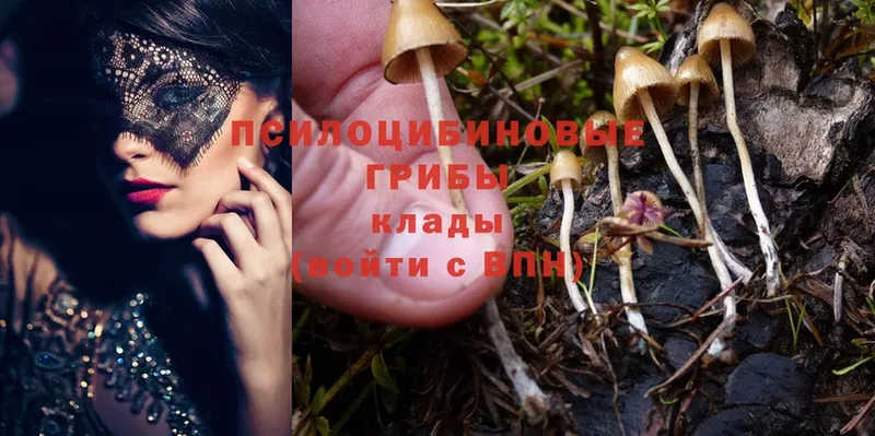 Галлюциногенные грибы Cubensis  магазин  наркотиков  Ялуторовск 